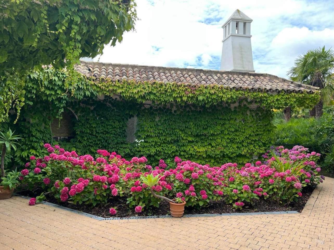 חירארדסברגן Villa Montana מראה חיצוני תמונה